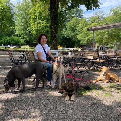 Hundeschule martina anic hundetraining in Düsseldorf Unterrath – Dogorama