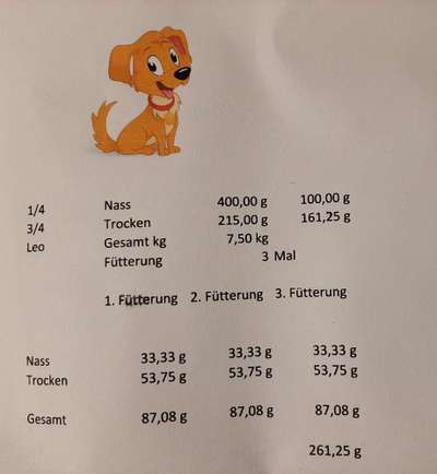 Wieviel Futter?-Beitrag-Bild