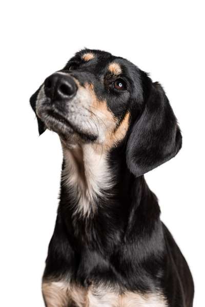 Zeigt eure Portraits-Beitrag-Bild