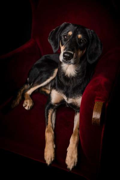 19. Farben  Fottochallenge :
Lieblingsfarbe-Beitrag-Bild