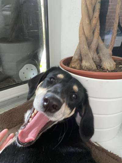 Handy-foto Challange nr. 11-Beitrag-Bild