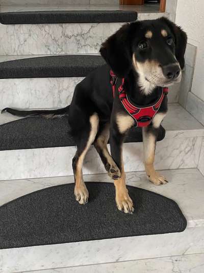 147. Foto Challenge: Bettelblick-Beitrag-Bild