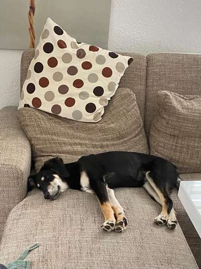 28. Farben Foto Challenge * BEIGE *-Beitrag-Bild