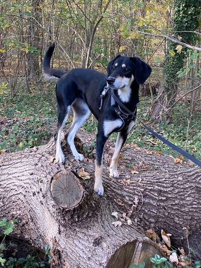 Fotochallenge 108: Starkes Team-Beitrag-Bild