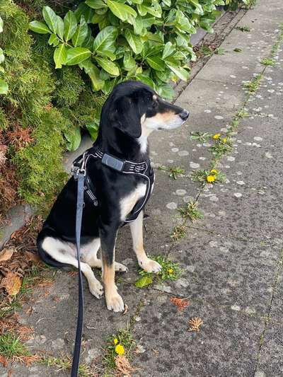 Foto Challenge Nr.133-Beitrag-Bild