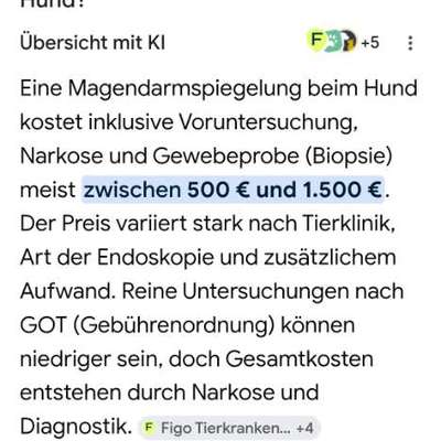 Sodbrennen ohne Ursache-Beitrag-Bild