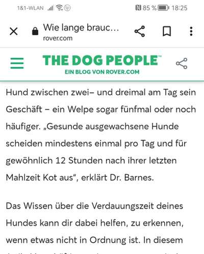 Hund kotet nachts wieder in die Küche-Beitrag-Bild