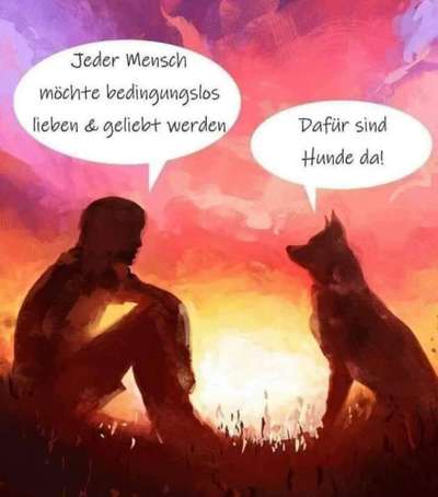 Warum liebst du deinen Hund?-Beitrag-Bild