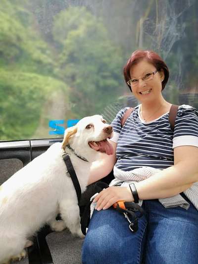 Die Dogorama Wochen Challenge: “Dein Hund im Urlaub”-Beitrag-Bild