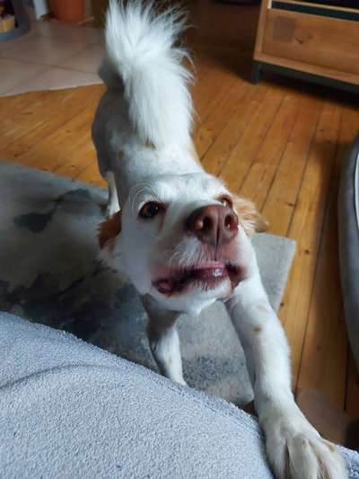 Hier ist der Spaßthread. Zum Schmunzeln und Kaputtlachen-Beitrag-Bild