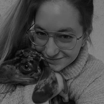 Hundetreffen-Social Walk-Profilbild