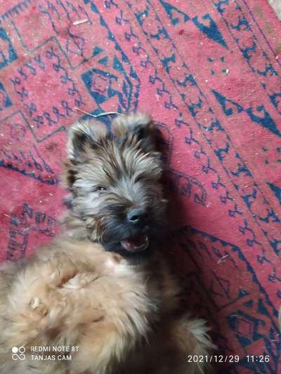 Lustige Grimassen & verrückte Posen-Beitrag-Bild