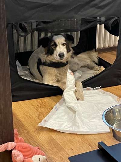 Das erste Foto-Beitrag-Bild