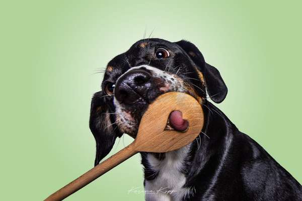 Tierfotografen-Karina Kopp-Bild