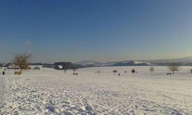 Hundeauslaufgebiet-Hundewiese Seekirchen-Bild