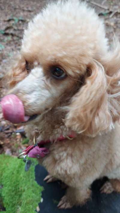 Fotochallange Nr. 57     PORTRÄT.   Beendet!!!!!!!!-Beitrag-Bild