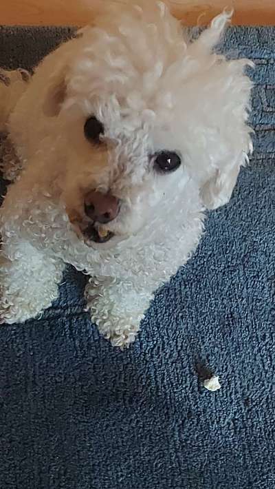 Fotochallange Nr. 57     PORTRÄT.   Beendet!!!!!!!!-Beitrag-Bild