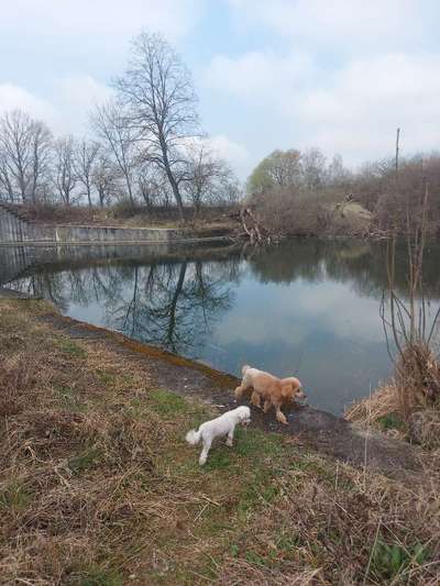 Fotochallenge No. 26                                     Wald und Wiese-Beitrag-Bild