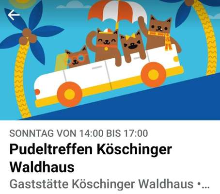 Pudel-Treffen-Beitrag-Bild