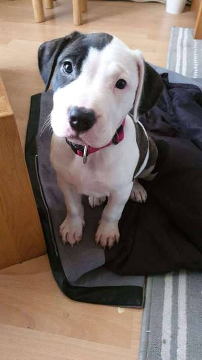 Foto Challenge 3-Beitrag-Bild