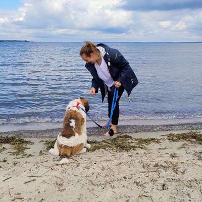 Hundetreffen-Welpentreff Thalheim