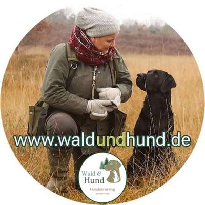 Hundeschulen-Wald & Hund - Hundetraining-Bild