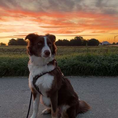 Jana's Profilbild