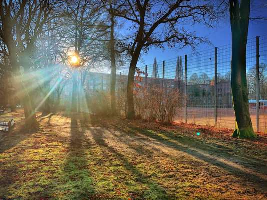 Hundeauslaufgebiet-Hundeauslaufzone Schmachthäger Straße, Barmbek-Nord-Bild