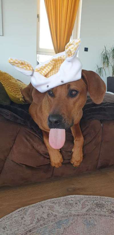 Tongue Out Tuesday-Beitrag-Bild