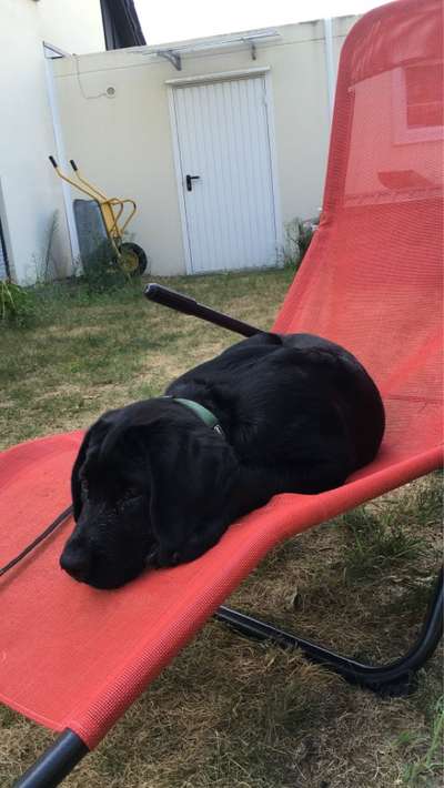 Foto Challenge 112 
ungewöhnliche Schlafplätze-Beitrag-Bild