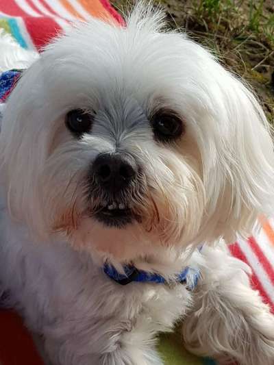 Fotochallange Nr. 57     PORTRÄT.   Beendet!!!!!!!!-Beitrag-Bild