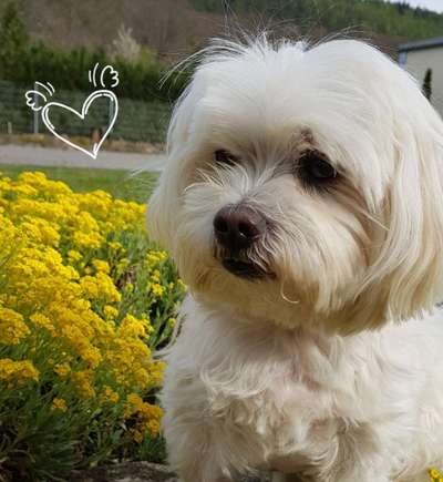 Doppelgänger gesucht !-Beitrag-Bild