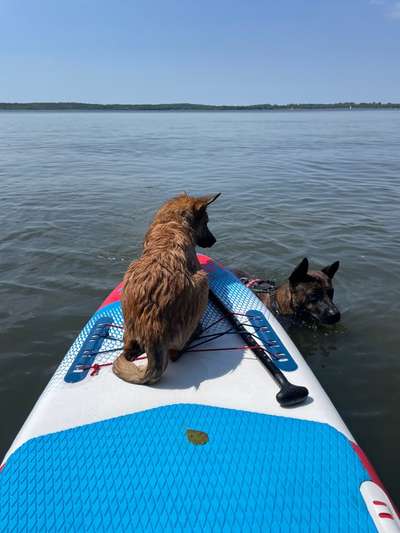 141. FOTO CHALLENGE 
Reisende soll man nicht aufhalten-Beitrag-Bild