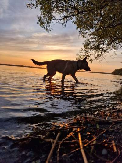 18. Farben Fotochallenge: Sonnenuntergang-Beitrag-Bild