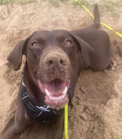 Fotochallange Nr. 57     PORTRÄT.   Beendet!!!!!!!!-Beitrag-Bild