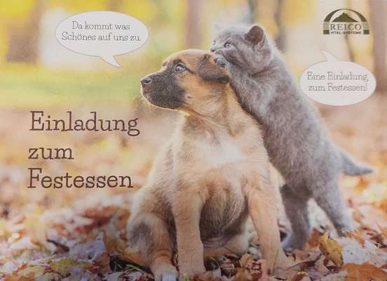 Giftköder-Futterberatung gratis-Bild