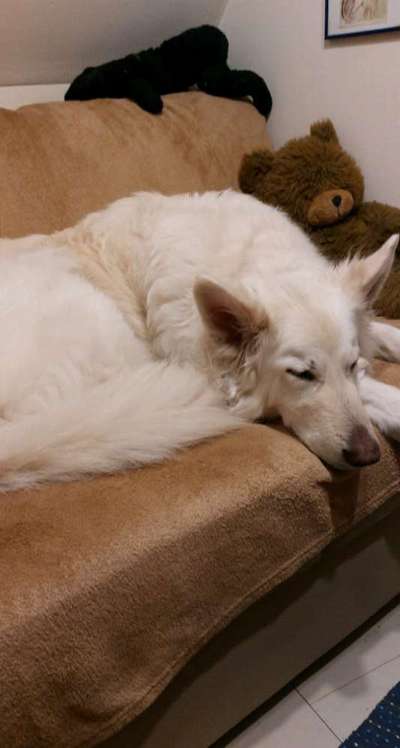 Leute aus Oberbayern?-Beitrag-Bild