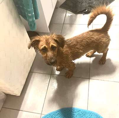 FOTOCHALLANGE NR.71 BADEFREUDE-Beitrag-Bild