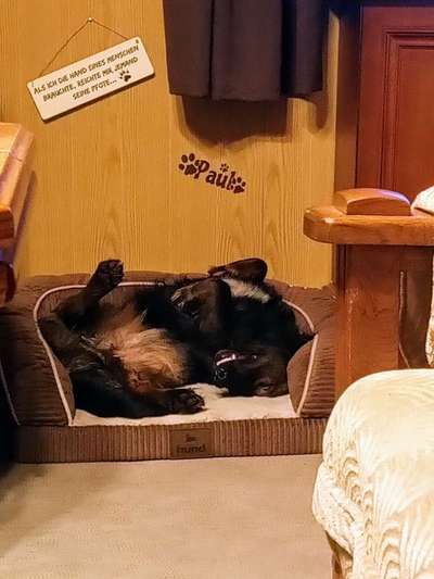 Die unbequemsten und lustigsten Schlafpositionen-Beitrag-Bild