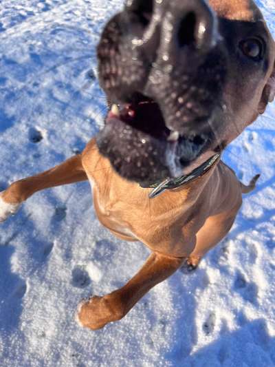 42. Handy Fotochallenge - Den richtigen Riecher haben-Beitrag-Bild