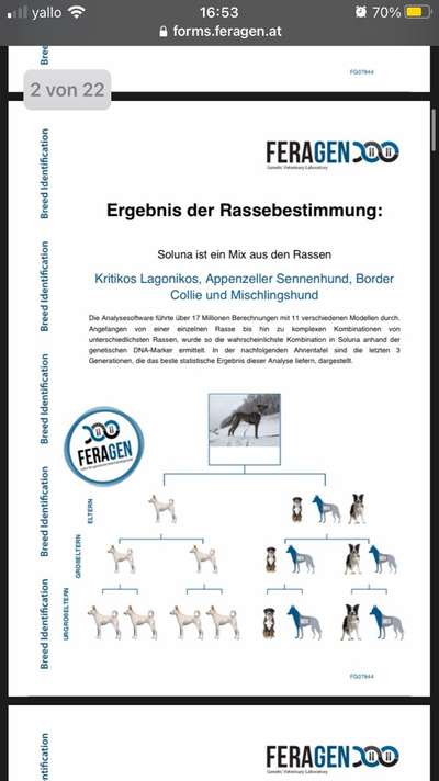 GEN Test-Beitrag-Bild