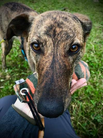 Fotochallange Nr. 57     PORTRÄT.   Beendet!!!!!!!!-Beitrag-Bild