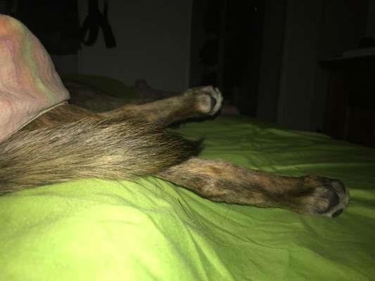 Relaxen im bett-Beitrag-Bild