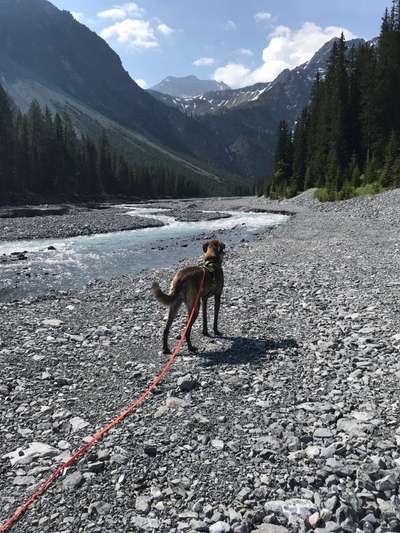 Dogorama Photo Challenge - Tierischer Urlaub-Beitrag-Bild