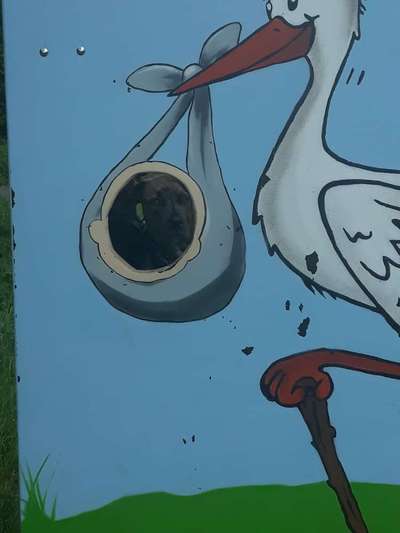 Hier ist der Spaßthread. Zum Schmunzeln und Kaputtlachen-Beitrag-Bild