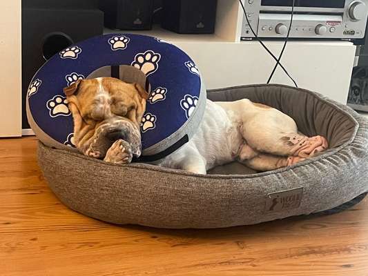 Kastraktion - Statt Trichter, Body oder…?-Beitrag-Bild