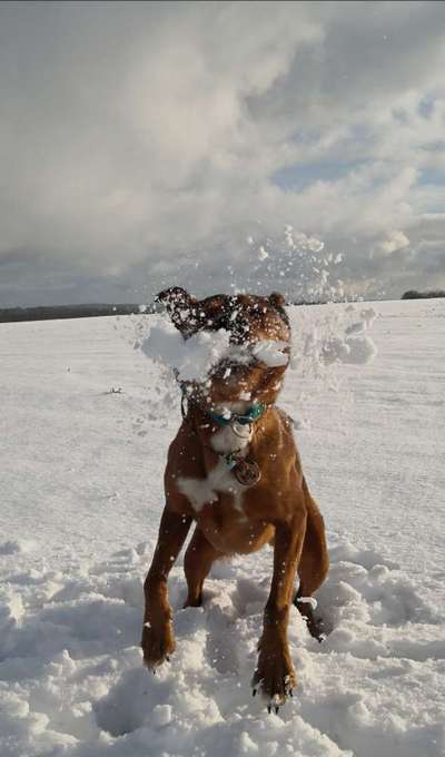 Challenge Nr. 15
Spiel im Schnee-Beitrag-Bild