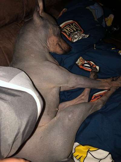 Im Bett schlafen-Beitrag-Bild