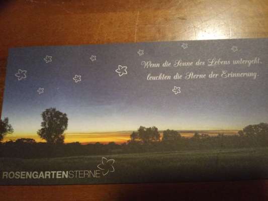 Wunderschönes Gedicht über die Regenbogenbrücke. Aus Dogorama mit Erlaubnis von Wolfgang.-Beitrag-Bild