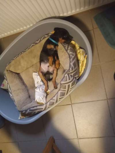 Fotochallenge Nr.65-Beitrag-Bild